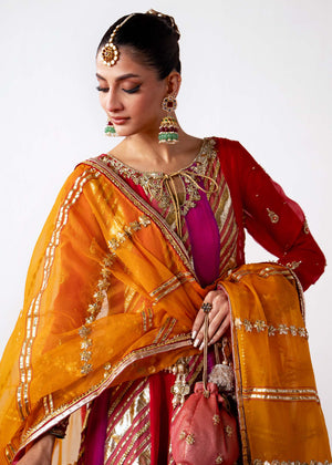 Pakistani Multicolour Embroidered Organza Pishwas Dress (3-Piece) - Image 7