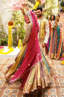 Pakistani Multicolour Zari Net Kalidar Pishwas (2-Piece) - Image 10