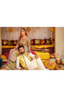 Pakistani Multicolour Zari Net Kalidar Pishwas (2-Piece) - Image 13