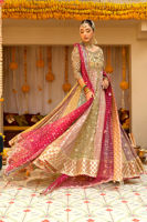 Pakistani Multicolour Zari Net Kalidar Pishwas (2-Piece) - Image 3