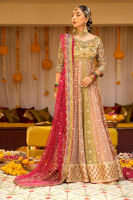 Pakistani Multicolour Zari Net Kalidar Pishwas (2-Piece) - Image 4