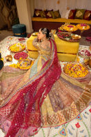 Pakistani Multicolour Zari Net Kalidar Pishwas (2-Piece) - Image 5