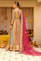 Pakistani Multicolour Zari Net Kalidar Pishwas (2-Piece) - Image 6