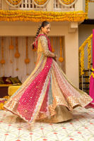 Pakistani Multicolour Zari Net Kalidar Pishwas (2-Piece) - Image 7