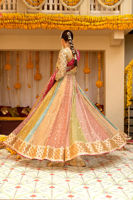 Pakistani Multicolour Zari Net Kalidar Pishwas (2-Piece) - Image 8