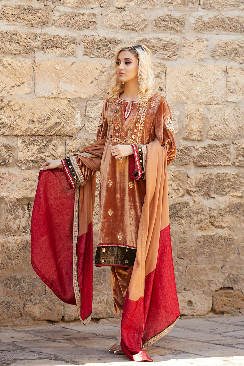 Mustard Handworked Velvet & Raw Silk Salwar Kameez (3-Piece) - Image 1