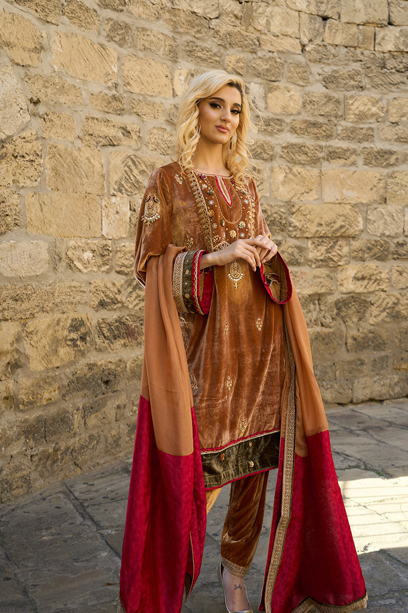 Mustard Handworked Velvet & Raw Silk Salwar Kameez (3-Piece) - Image 13