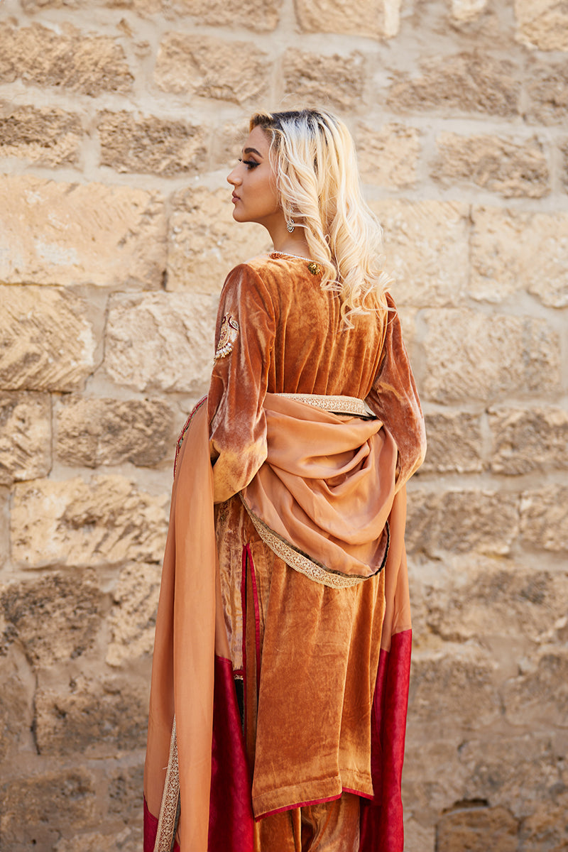 Mustard Handworked Velvet & Raw Silk Salwar Kameez (3-Piece) - Image 2