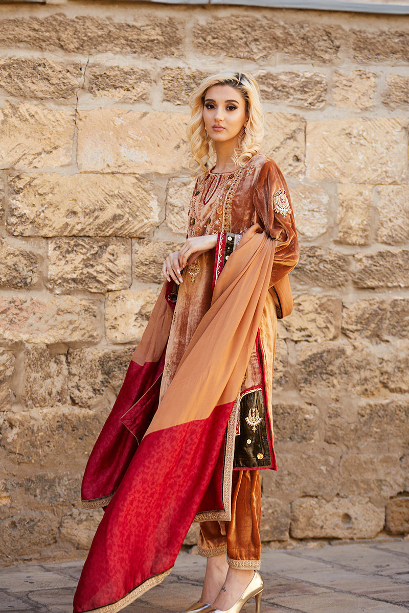 Mustard Handworked Velvet & Raw Silk Salwar Kameez (3-Piece) - Image 3