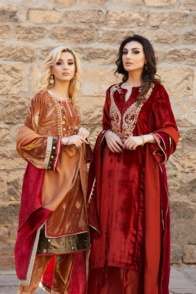 Mustard Handworked Velvet & Raw Silk Salwar Kameez (3-Piece) - Image 4