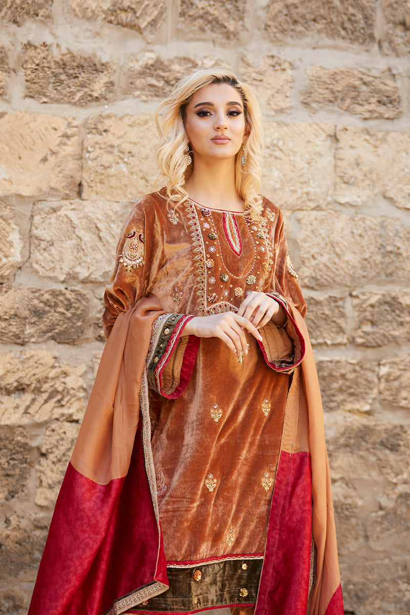 Mustard Handworked Velvet & Raw Silk Salwar Kameez (3-Piece) - Image 7