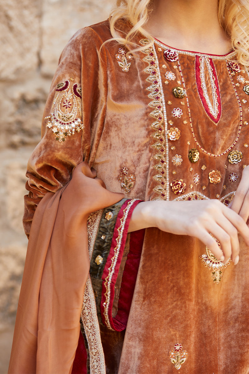 Mustard Handworked Velvet & Raw Silk Salwar Kameez (3-Piece) - Image 9