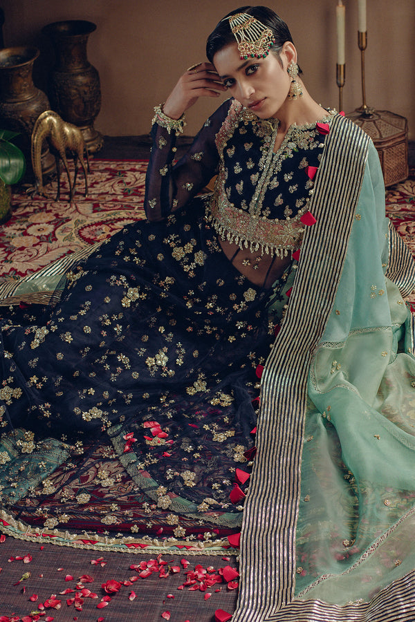 Navy Hand-Embellished Organza Sharara (3-Piece) - Image 3