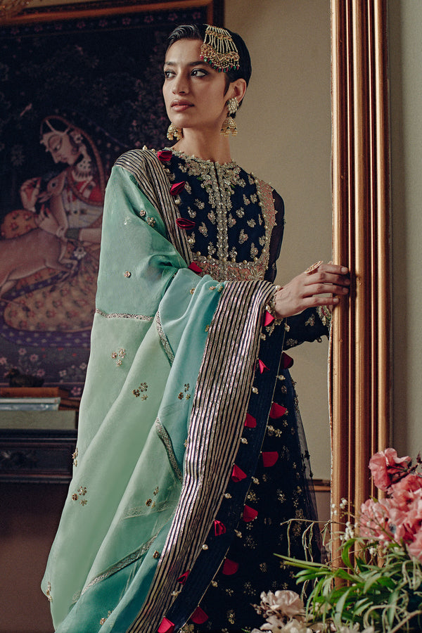 Navy Hand-Embellished Organza Sharara (3-Piece) - Image 4