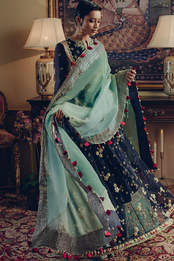 Navy Hand-Embellished Organza Sharara (3-Piece) - Image 5