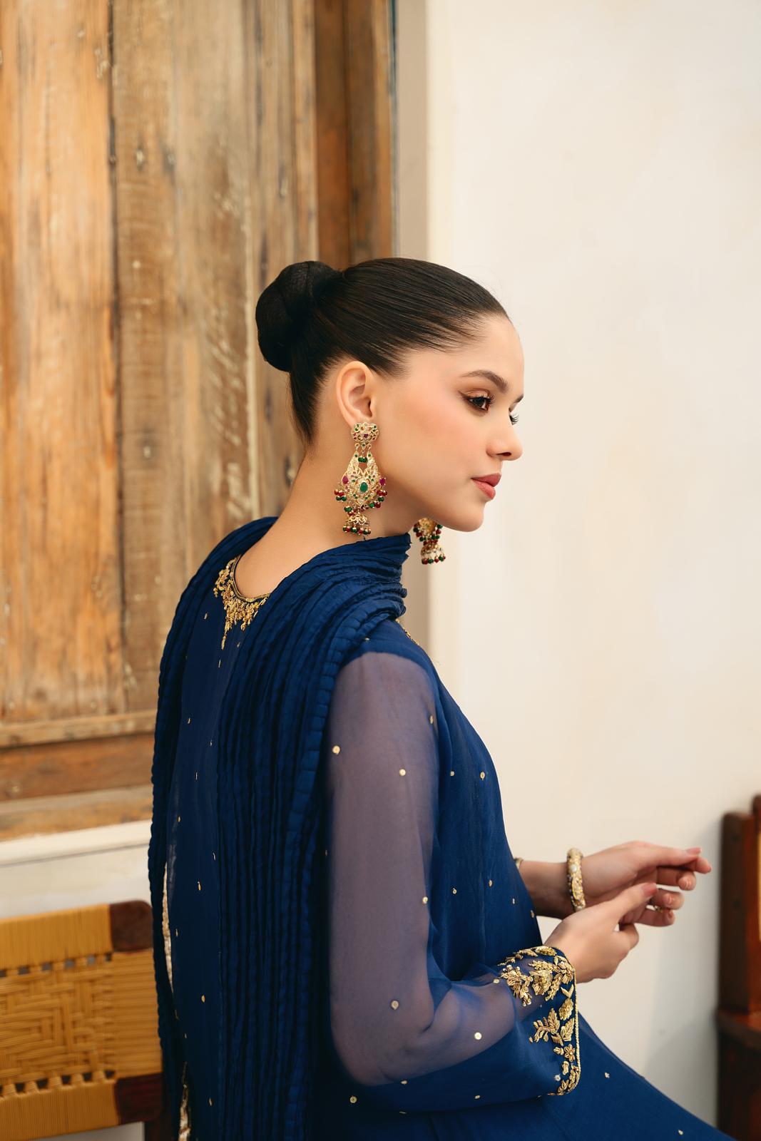 Navy Blue Embellished Pure Organza Pishwas (3-Piece) - Image 5