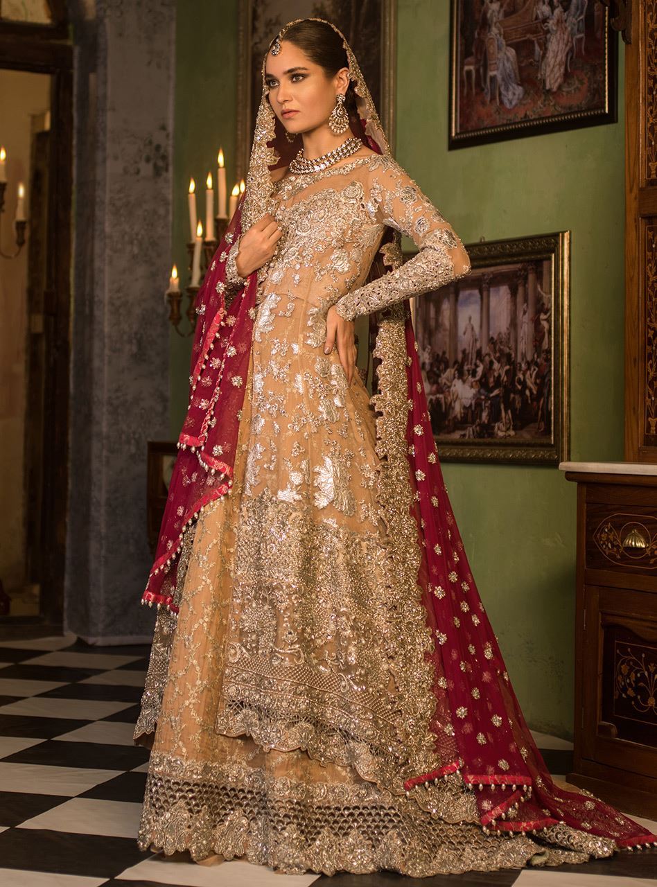 Nude Embellished Net Bridal Gown (3-Piece) - Image 2