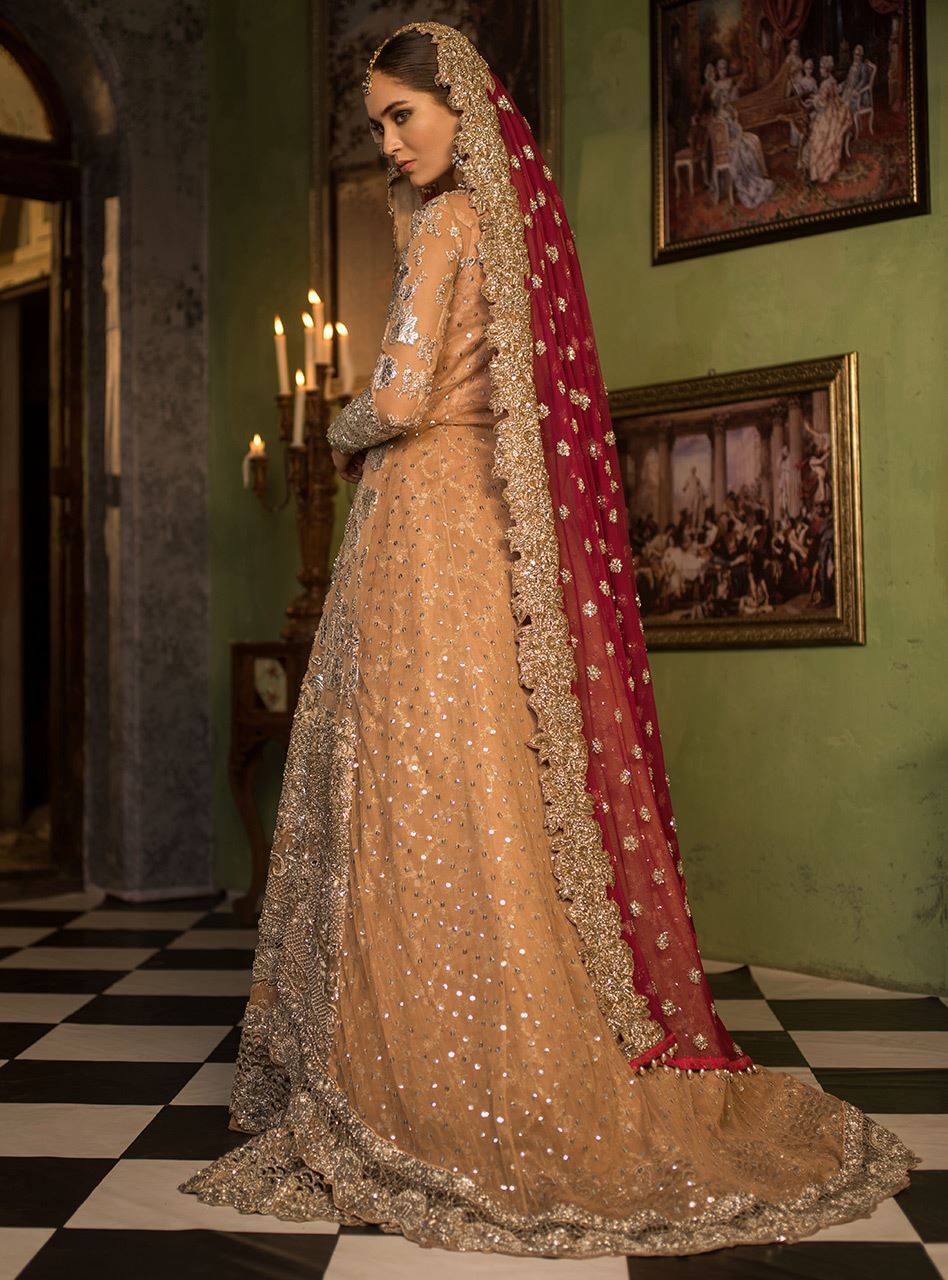 Nude Embellished Net Bridal Gown (3-Piece) - Image 3