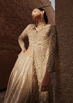 Skin Embroidered Organza Gown with Jamawar Lehnga (3-Piece) - Image 5