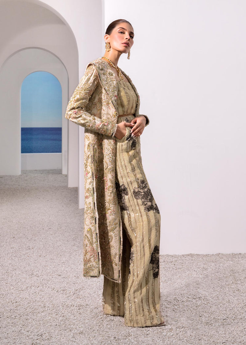 Pakistani Skin Embellished Raw Silk & Net Long Jacket (3-Piece) - Image 3