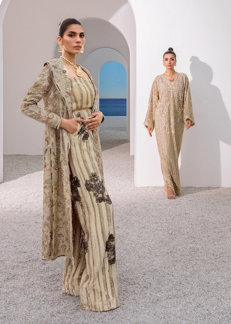 Pakistani Skin Embellished Raw Silk & Net Long Jacket (3-Piece) - Image 5