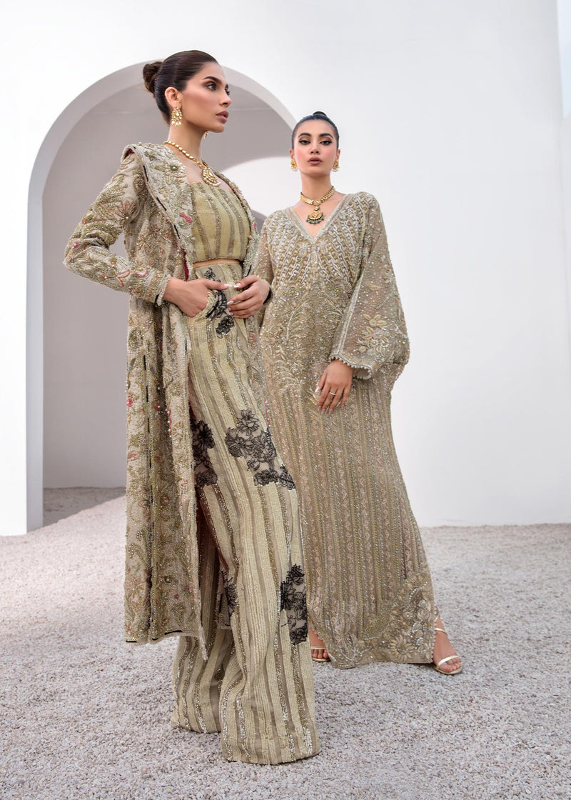 Pakistani Skin Embellished Raw Silk & Net Long Jacket (3-Piece) - Image 6