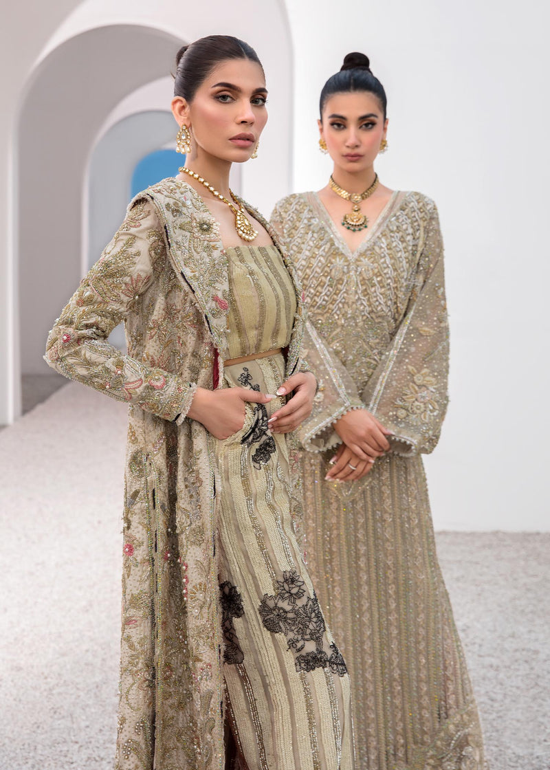 Pakistani Skin Embellished Raw Silk & Net Long Jacket (3-Piece) - Image 7