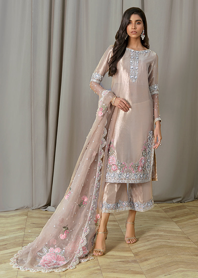 Skin Hand-Embellished Tissue Salwar Kameez (3-Piece) - Image 1