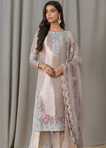Skin Hand-Embellished Tissue Salwar Kameez (3-Piece) - Image 4