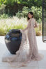 Pakistani Nude Embellished Net Saree with Organza Frill (2-Piece) - Image 7