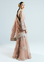 Pakistani Nude Hand-Embellished Organza Sharara (3-Piece) - Image 13