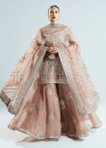 Pakistani Nude Hand-Embellished Organza Sharara (3-Piece) - Image 5