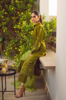 Pakistani Olive Schiffli Raw Silk Salwar Kameez (3-Piece) - Image 4