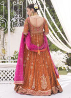 Burnt Orange Zari Net Angharka Kalidaar (2-Piece) - Image 7