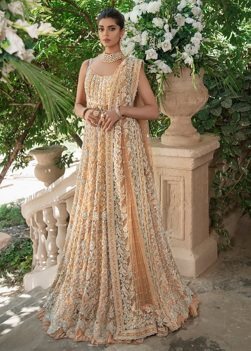 Indian Orange Embroidered Net Gown with Raw Silk Inner (2-Piece) - Image 1