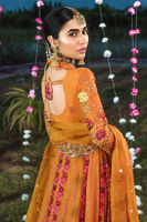 Pakistani Burnt Orange Chikankari Kalidar Lehenga (3-Piece) - Image 3