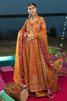 Pakistani Burnt Orange Chikankari Kalidar Lehenga (3-Piece) - Image 4