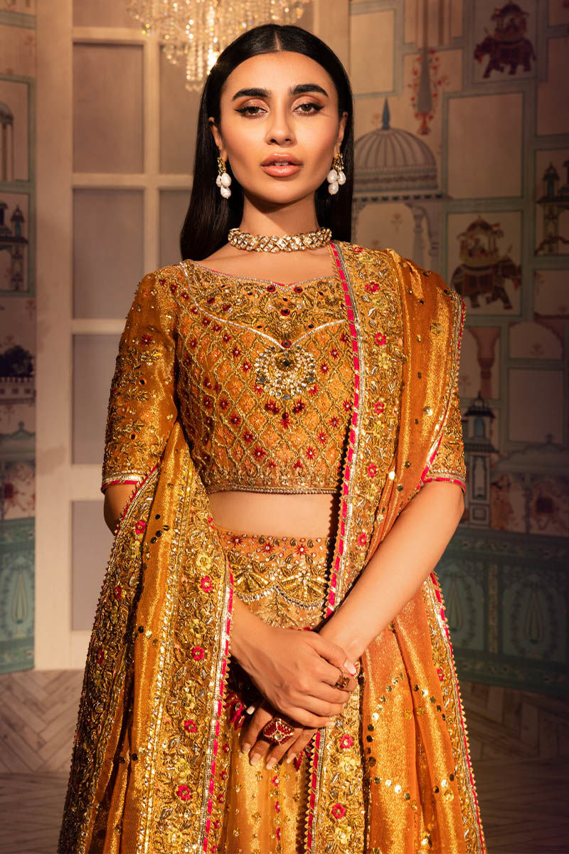 Pakistani Metallic Orange Embellished Maysuri Net Lehenga (3-Piece) - Image 2