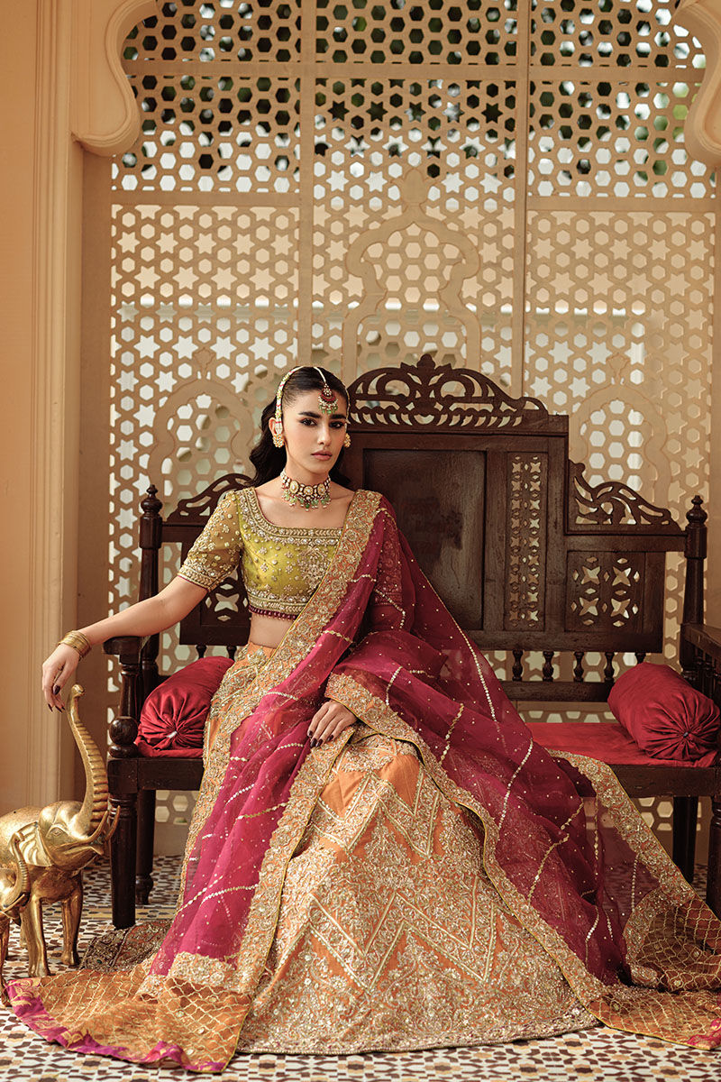 Pakistani Orange & Green Embroidered Net Lehenga (3-Piece) - Image 5