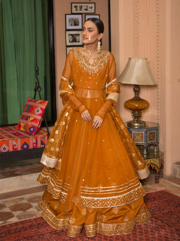 Pakistani Burnt Orange Embroidered Net Pishwas Dress (3-Piece) - Image 1