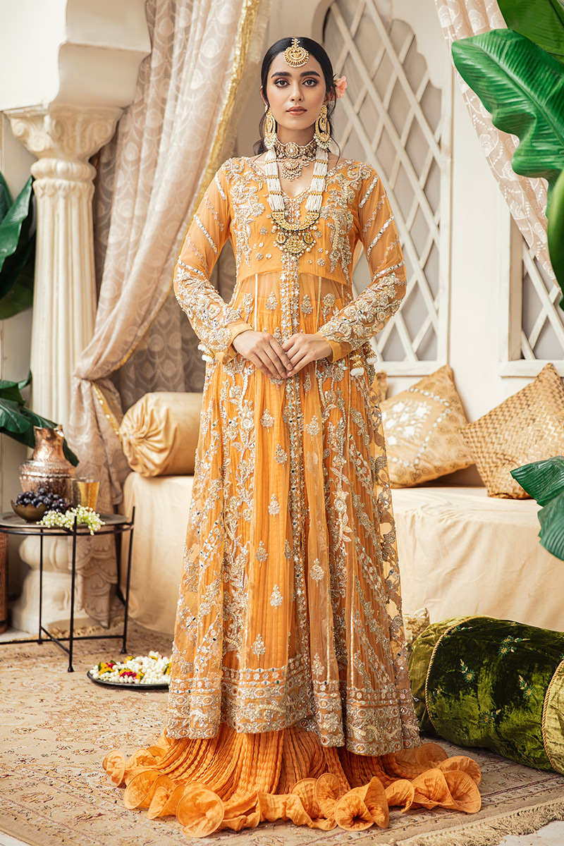 Pakistani Burnt Orange Embellished Net Pishwas Dress (2-Piece) - Image 1