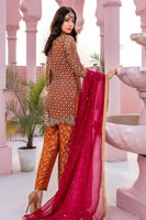 Pakistani Rust Zardozi & Gota Net Salwar Kameez (3-Piece) - Image 4