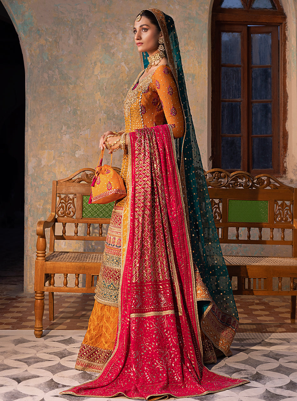 Burnt Orange Embroidered Chiffon Organza Sharara (3-Piece) - Image 6
