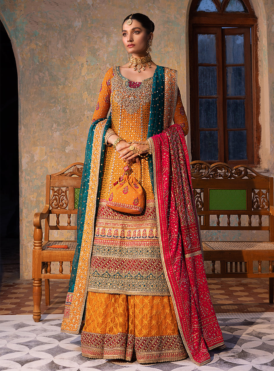 Burnt Orange Embroidered Chiffon Organza Sharara (3-Piece) - Image 1