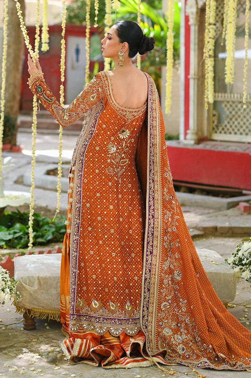 Burnt Orange Zardozi Cotton Net & Brocade Sharara (3-Piece) - Image 5