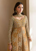 Orange Embroidered Net Sharara (3-Piece) - Image 3