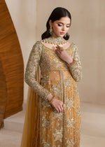 Orange Embroidered Net Sharara (3-Piece) - Image 5