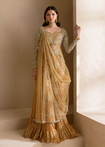 Orange Embroidered Net Sharara (3-Piece) - Image 7