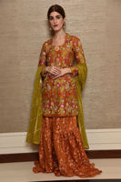 Orange Resham Embroidered Cotton Net Gharara (3-Piece) - Image 2