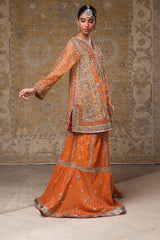 Orange Embroidered Organza & Jamawar Gharara (2-Piece) - Image 3
